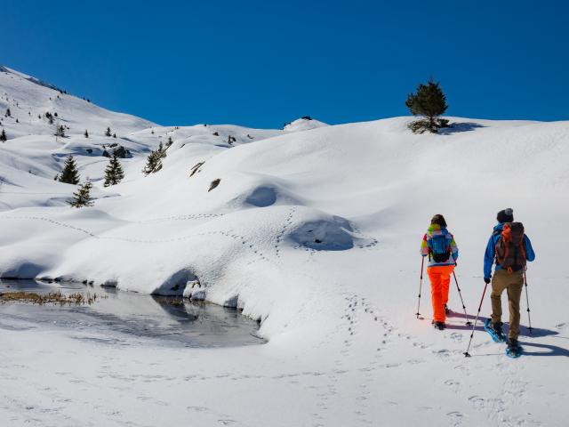 En raquettes sur le plateau de l'Alpette