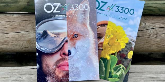 Brochures