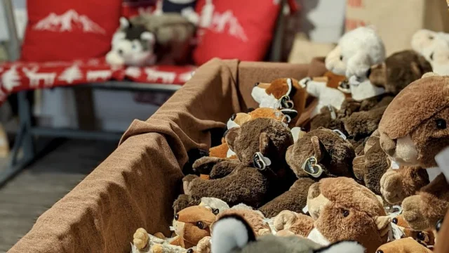 Magasin Oz Commerces Cadeaux