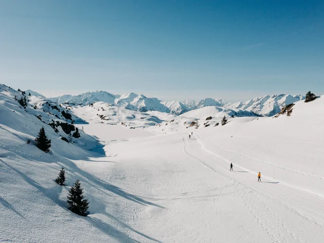 Accueil Nature Oz 3300